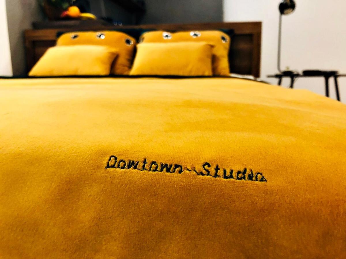 Downtown Studio Apartman Zielona Góra Kültér fotó